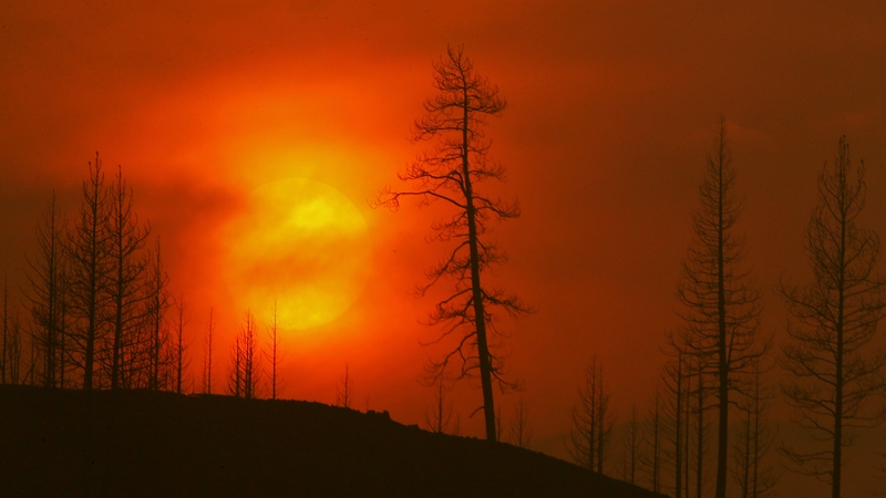 The McKinley Fire near Yreka, California, has destroyed dozens of homes