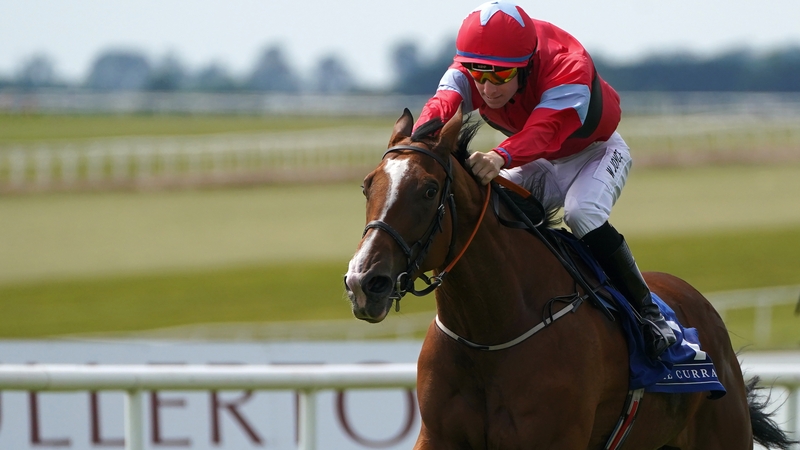 Wesley Joyce was unseated from Red Heel when his mount stumbled five furlongs from home in the Arthur Guinness Irish EBF Corrib Fillies Stakes at Galway