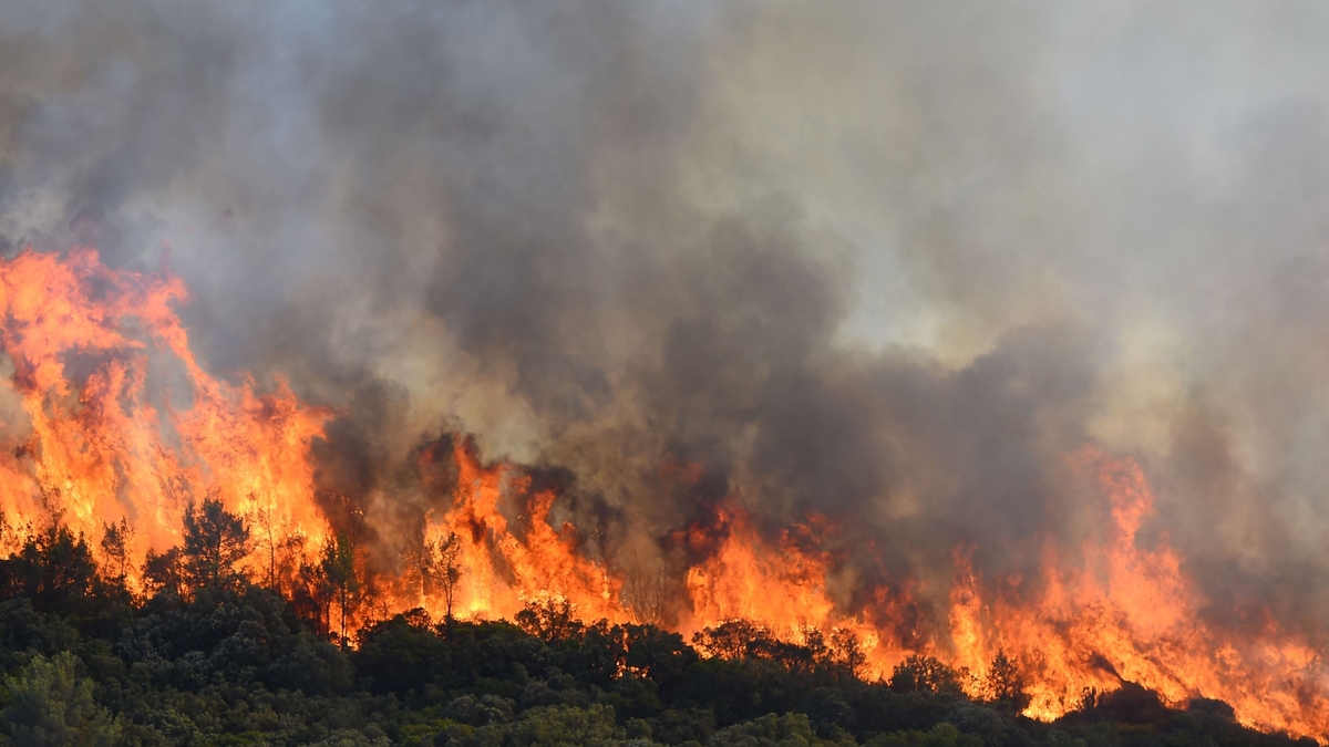 Wildfires