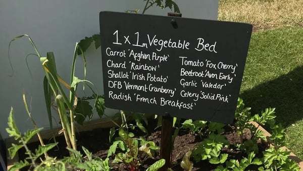 Create an organic, biodiverse oasis using recycled, homemade and sustainable materials, with help from Garden Organic's Chris Collins.