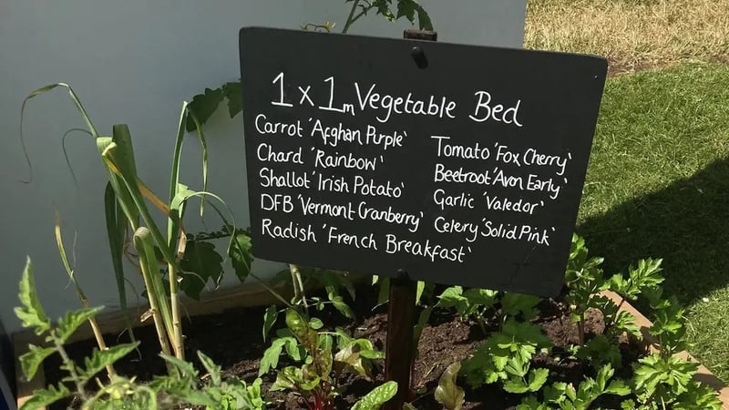 Create an organic, biodiverse oasis using recycled, homemade and sustainable materials, with help from Garden Organic's Chris Collins.