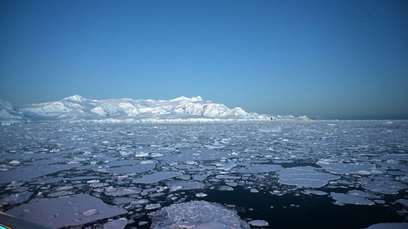 Chiriguano bay in the South Shetland Islands, Antarctica (File pic)