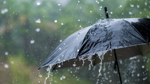 'Forever chemicals have spread to the entire environment, including water and air