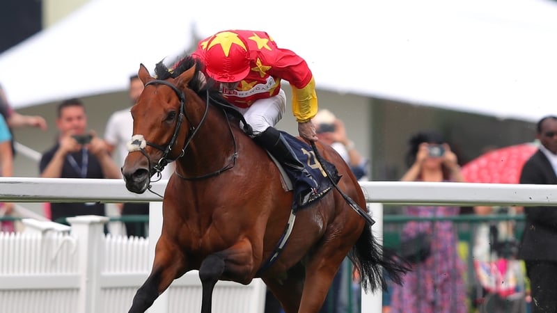 State Of Rest won five of his 12 starts, with four of those victories coming at Group One level