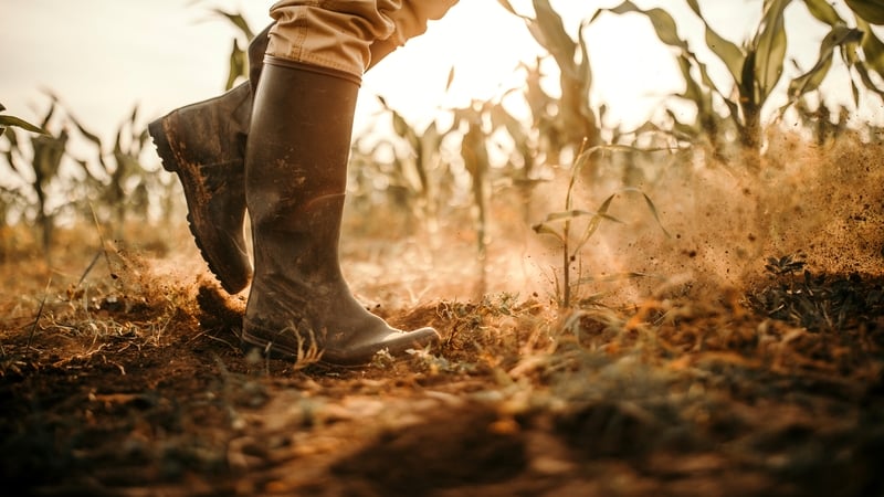 Food producers are experiencing difficulties watering their crops