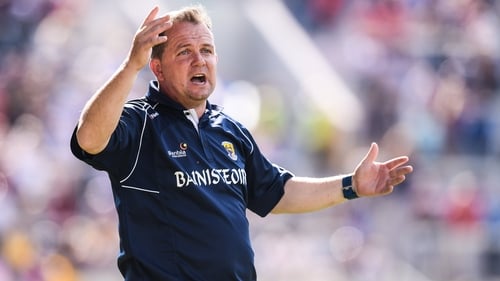 Davy Fitzgerald will be wearing the bainisteoir bib again next season