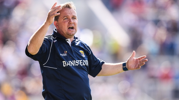 Davy Fitzgerald will be wearing the bainisteoir bib again next season