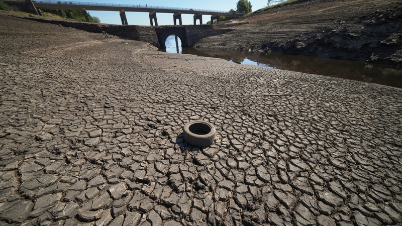 Frank McGovern said Ireland would experience more heatwaves in the future (File pic)