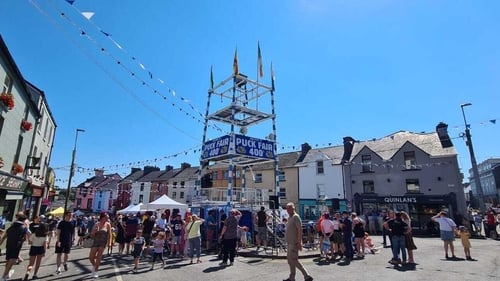 The Puck Fair, which is one of Ireland's oldest festivals, sees a goat crowned king for three days and three nights (File image)
