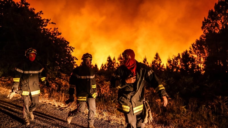 Firefighters work at the site of a wildfire near Belin-Beliet, southwestern in August
