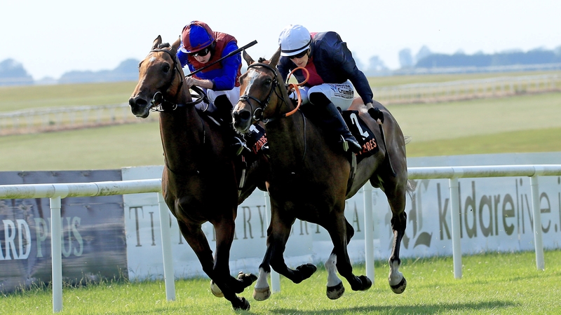 Luxembourg (far side) had to dig deep to repel Insinuendo by a neck in the Royal Whip Stakes at the Curragh after a 105-day absence