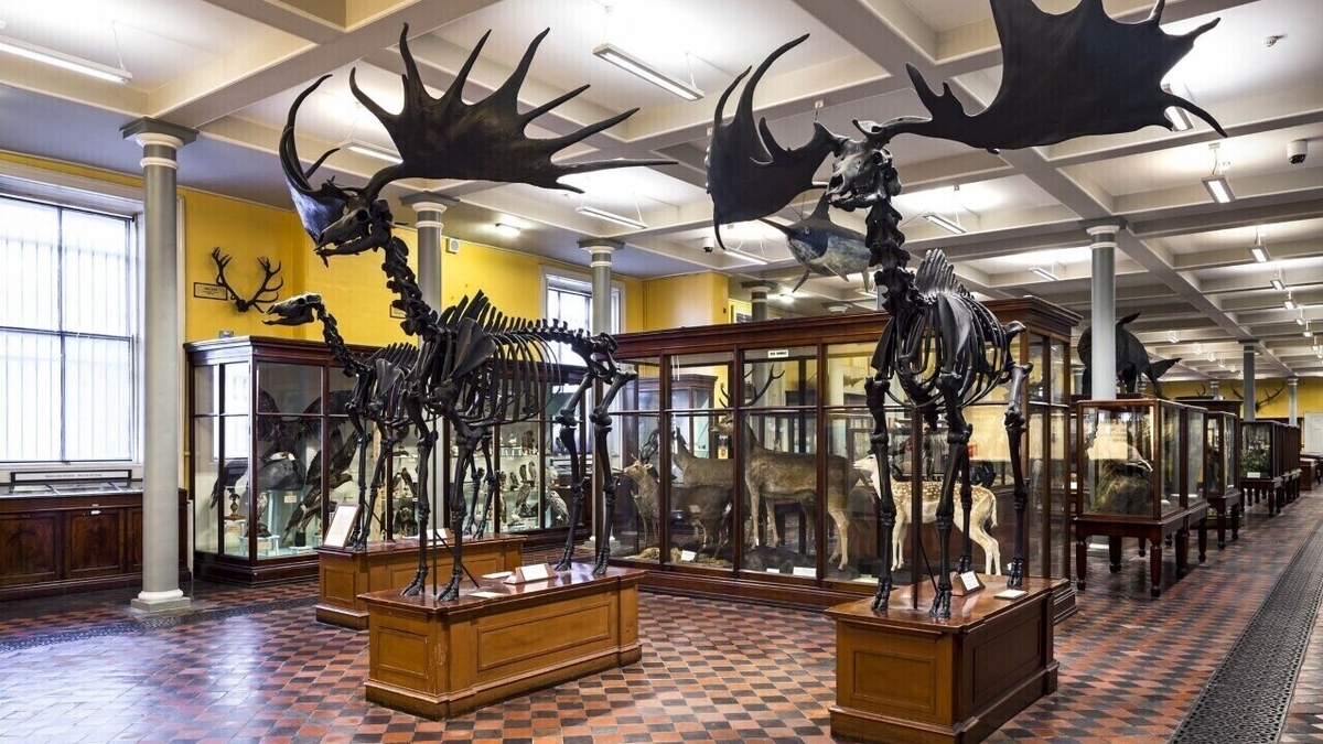 The Natural History Museum