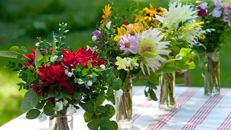 Hannah Stephenson selects 5 plants which are easy to grow and perfect for cutting.