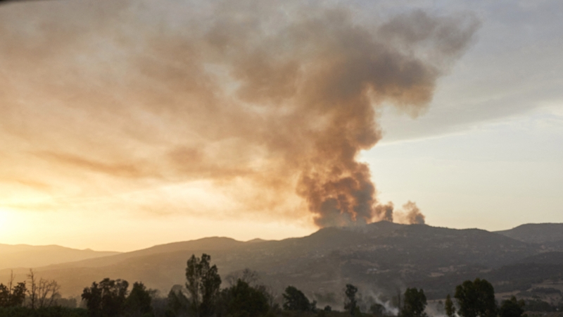Last year, at least 90 people died in forest fires that ravaged northern Algeria (File pic)