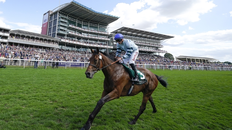 The Prix Royal-Oak and the Prix du Cadran at Longchamp and the Long Distance Cup at Ascot are future options for Quickthorn