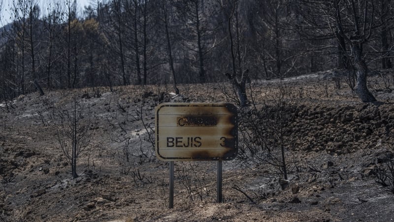 The blaze started near Bejis in the eastern Valencia region