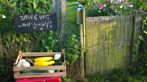 We're all looking towards sustainability and not chucking garden stuff away, whether it be old tools, gluts of veg or clippings.