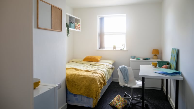 This will be the first year that students are back on campus for the full academic year since Covid (File pic)