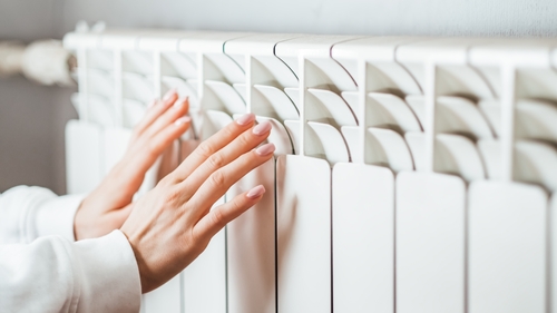 Governments around Europe are not relishing the prospect of cold radiators and factories forced to stop operating (file pic)