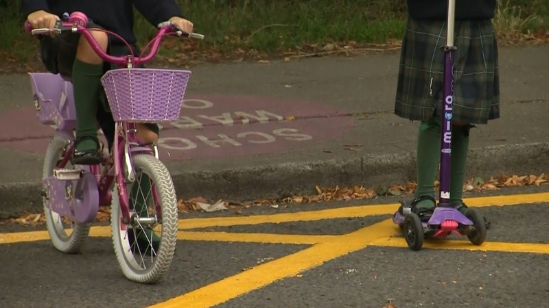 The Road Safety Authority has launched a new online learning portal aimed at all school pupils