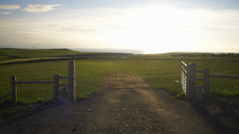 Farmers in remote areas are often alone when forced to confront gangs (Stock image)