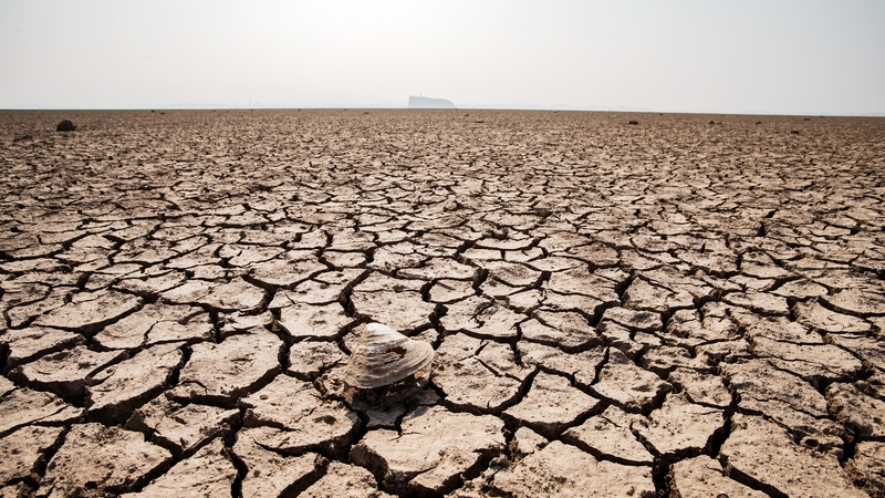 The lake bed of China's largest freshwater lake, Poyang, is exposed due to high temperatures and drought