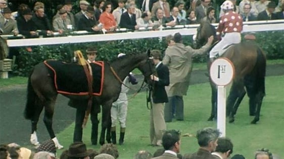 Horse Trading Ban in the US (1977)
