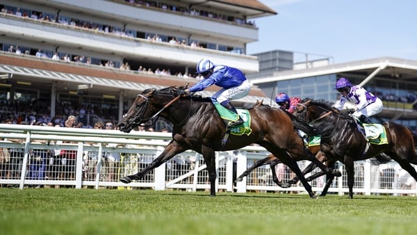 The consistent Minzaal has finished in the first three on eight of his 10 career outings