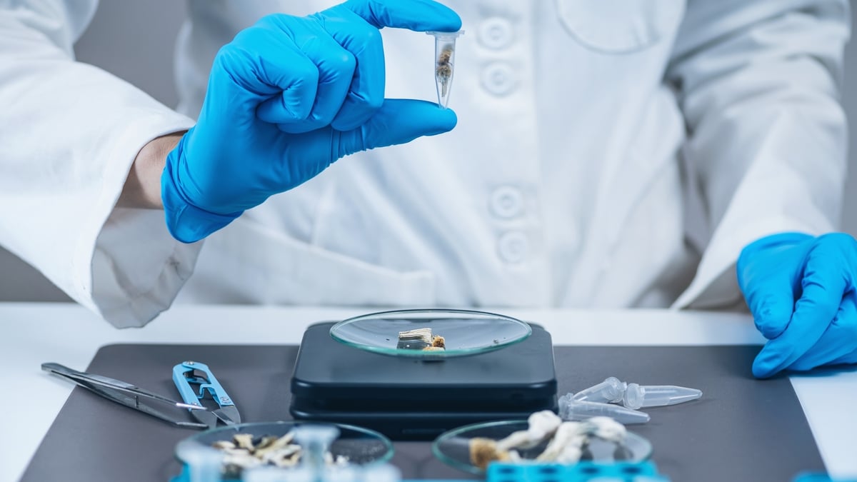 Trinity College Dublin hosts Ireland's first Psychedelic Research conference