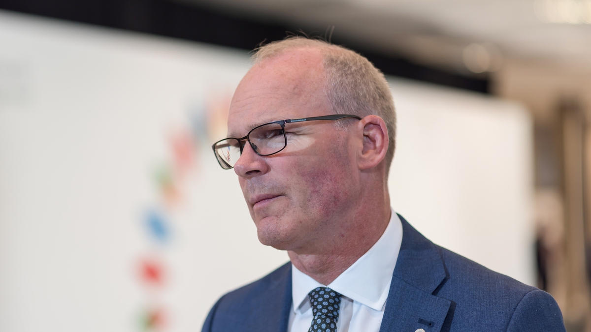 Minister Simon Coveney on NI and UK politics