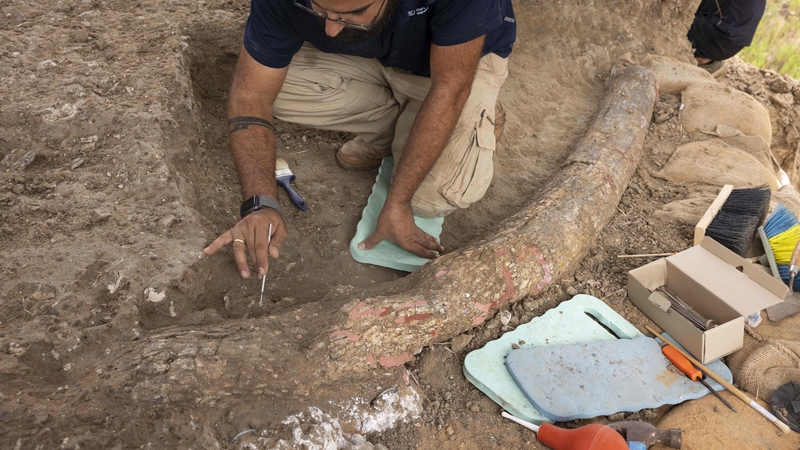 Archaeologists work at the site near Revadim