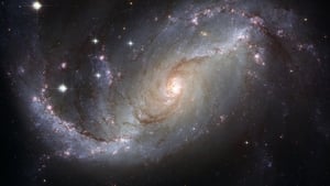 Signs of Life show image
