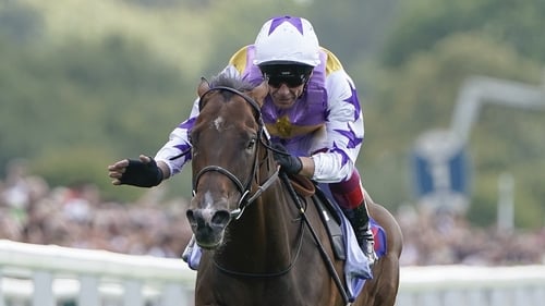 Seven of Kinross's eight career wins have come at trips of seven furlongs or less