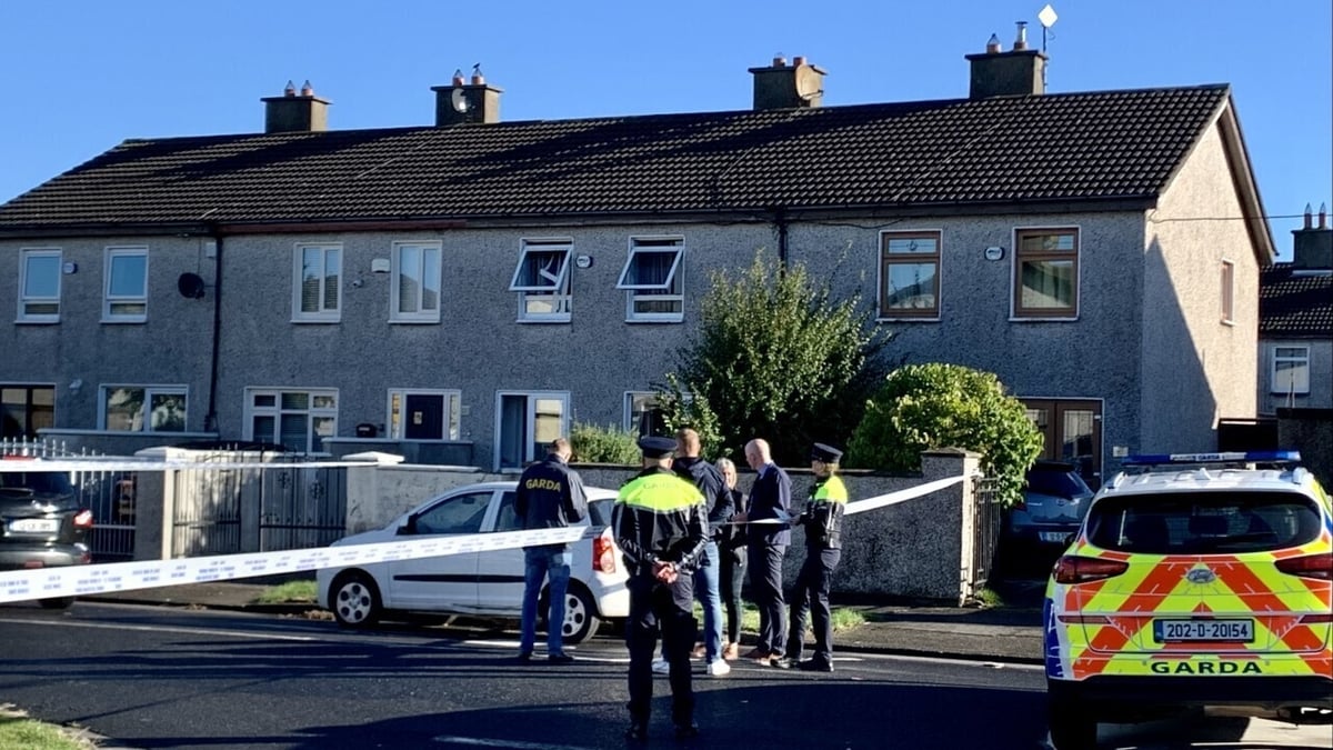 Three die after 'violent incident' in Tallaght