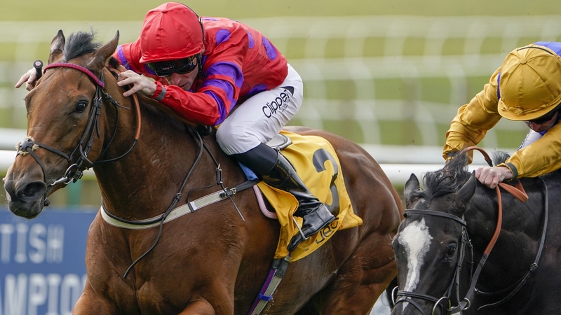 Dreamloper was a winner in France