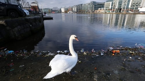 Dublin's Grand Canal Dock was among the areas branded heavily littered