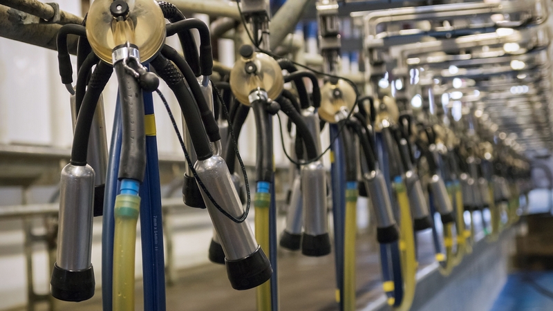 The decision by the European Commission affects over 3,000 Irish dairy and beef farmers (file image)