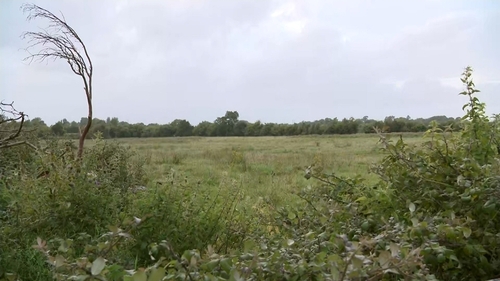 It is understood around 100 of the animals were found on the farm in the south of the county