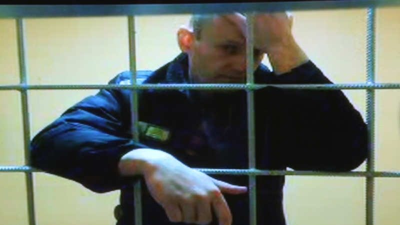 Alexei Navalny seen on screen during an appeal hearing earlier this year