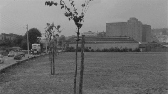 Kennedy Park in Cork city, 1972