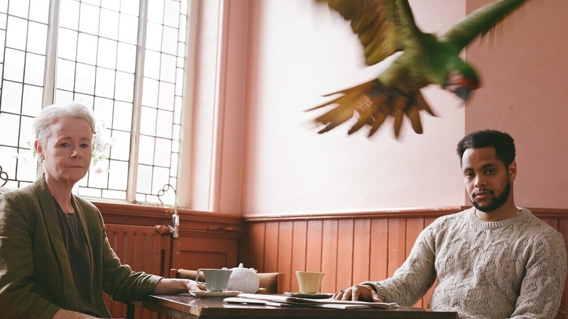 Noelle Brown and Kwaku Fortune star in Absent The Wrong (Pic: Issey Goold)