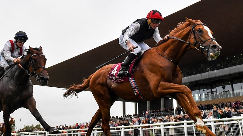 Kyprios held off Hamish at The Curragh Racecourse