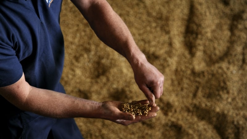 "Recent technological advancements have presented an opportunity to convert food waste into renewable biofuels" Photo: Getty Images