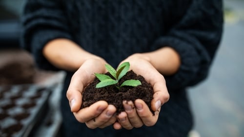 "The connection between soils and rains is especially important for a grass-based economy like Ireland's" Photo: Getty Images