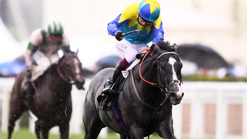 Dragon Symbol has finished second in two Group Ones