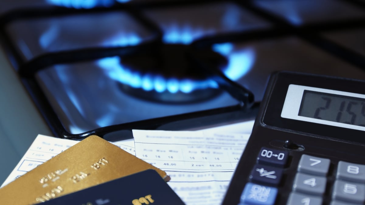 Energy prices: Pros and Cons of Government intervention