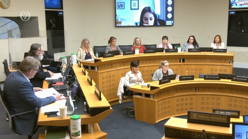 The committee heard from parents of children with autism