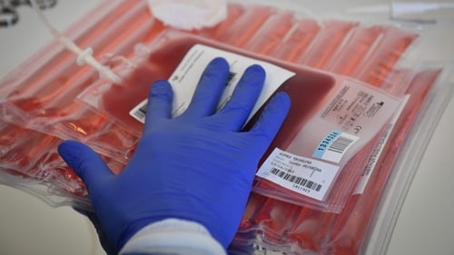 'Immune cells are isolated from blood, trained in a lab to be able to recognise cancerous cells and reinfused into the patient as a 'living drug', where they can seek and destroy cancer.' Photo: Gerard Julien/AFP via Getty Images