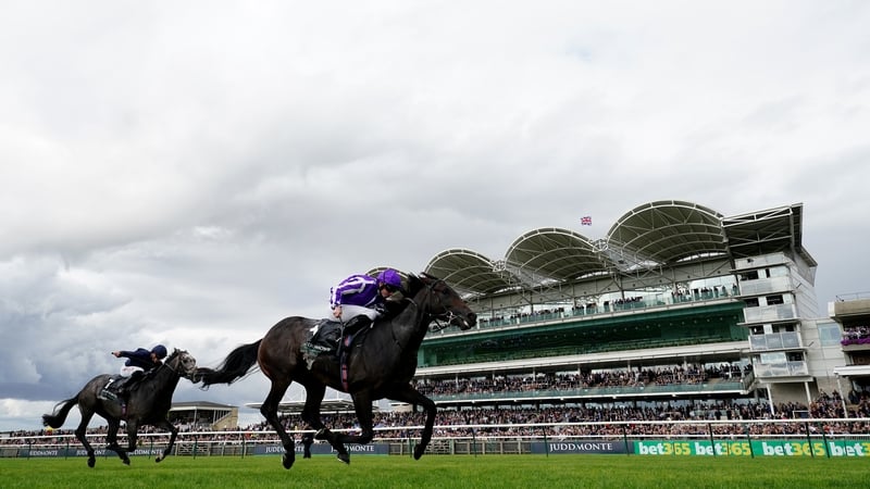 Ryan Moore steered Blackbeard to an impressive victory