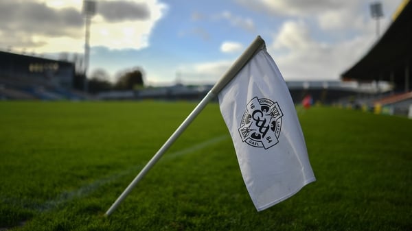 Wexford GAA said it will also support garda inquires (file image)